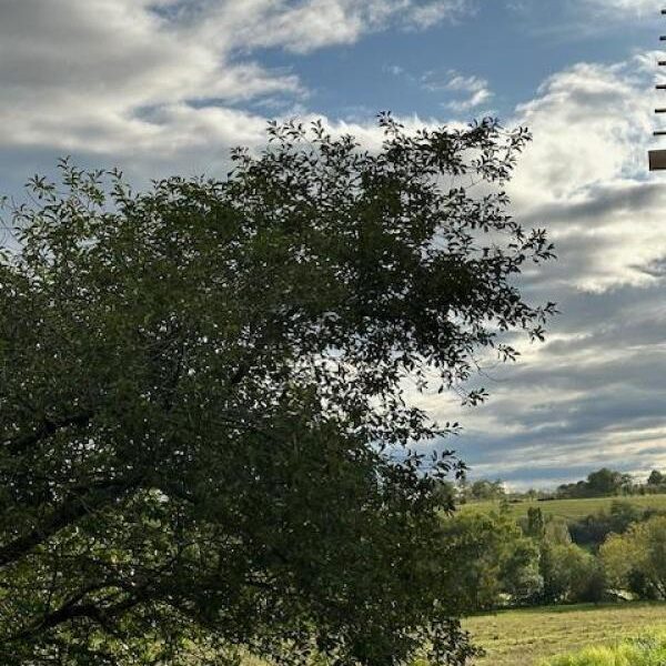 Terrain à vendre à Moncel sur seille