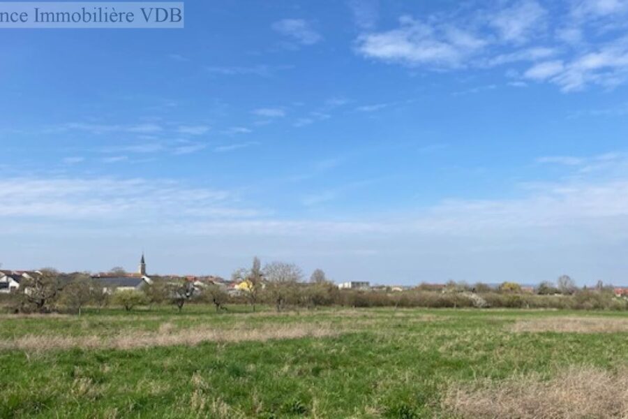 Terrain à vendre à Haraucourt