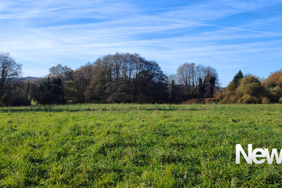 Terrain à vendre à Sadroc — Vue nature — photo 3