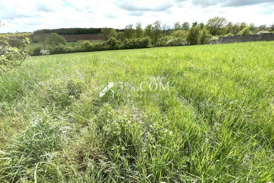 Terrain à vendre à Maixe