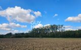 Terrain à vendre à Auchay sur vendee