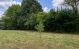 Terrain à vendre à Presles