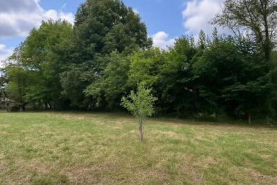 Terrain à vendre à Presles