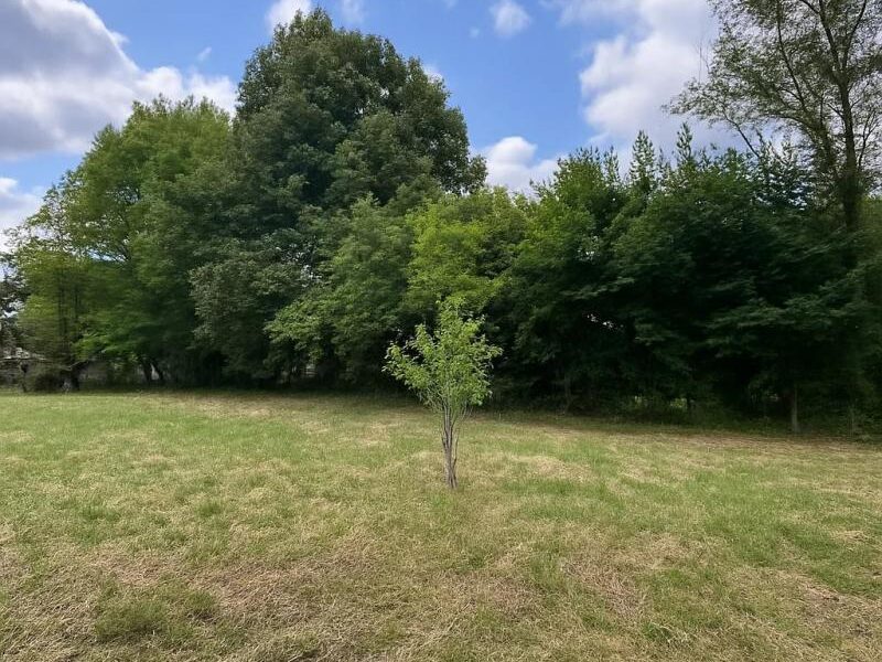Terrain à vendre à Presles