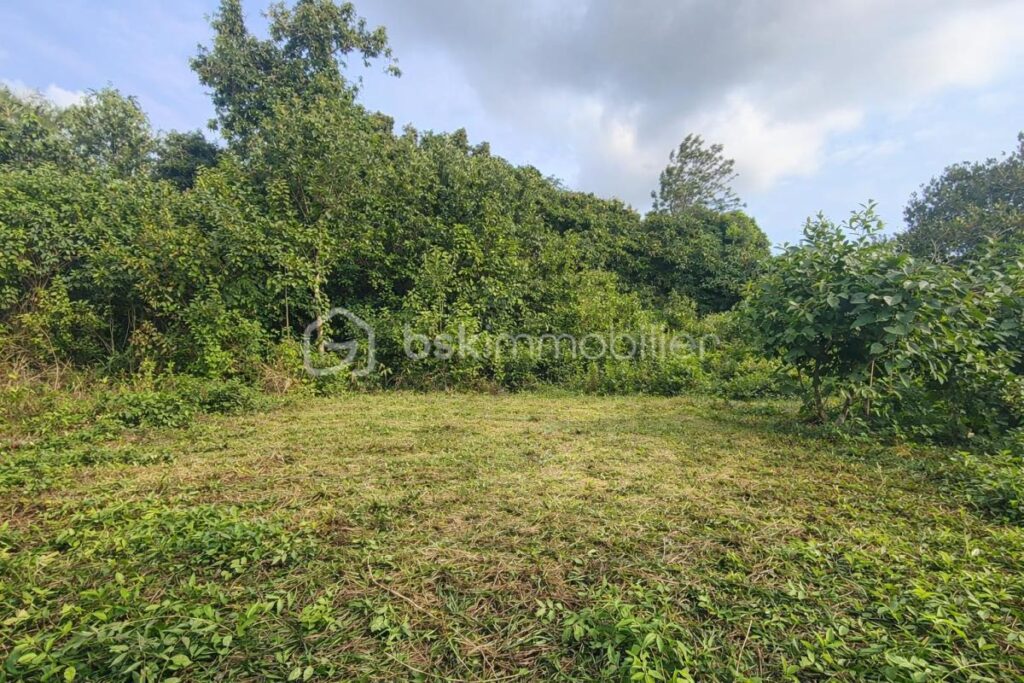 🌴 **RARE – TERRAIN PLAT AVEC VUE MER – SAINT-LEU** 🌊 – NR pièces – NR chambres – 1070 m²