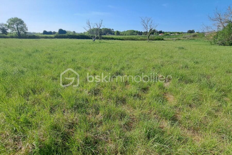 Terrain à vendre à Saint front de pradoux