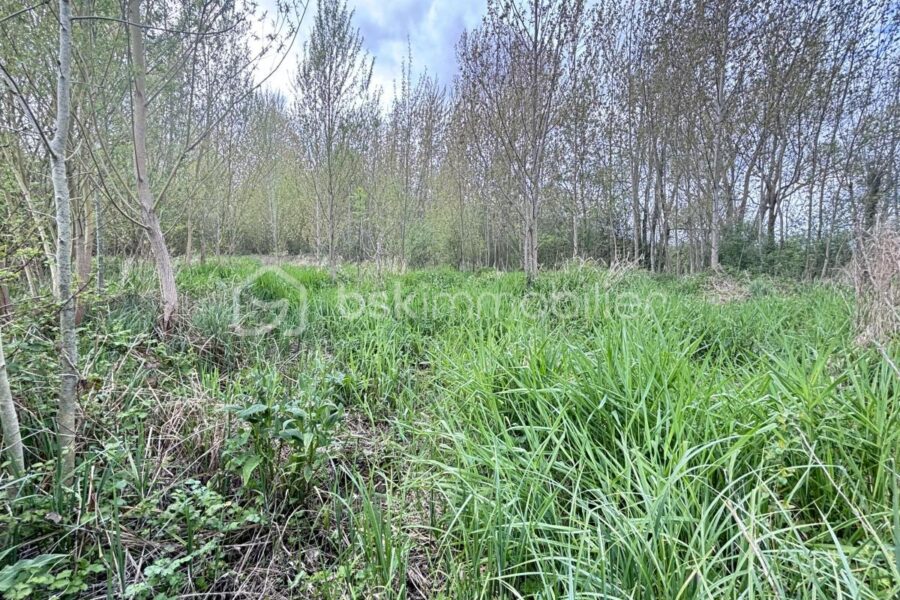 Terrain à vendre à Saint maixent l ecole
