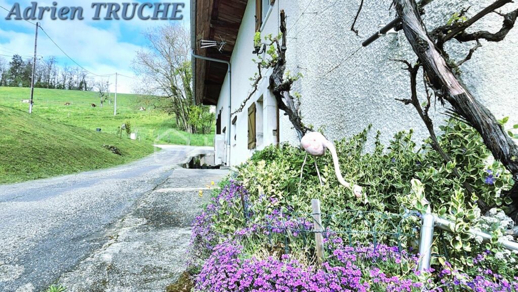 Corps de ferme rénové évolutif – Environnement verdoyant et calme – Belle performance thermique – 5 pièces – 3 chambres – 138 m²