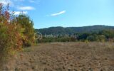 Terrain constructible en plein centre ville – NR pièces – NR chambres – 435 m²