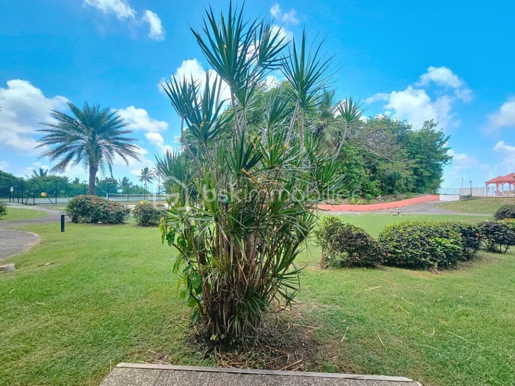 Studio Anse des Rochers – 1 pièce – 1 chambre – 29 m²