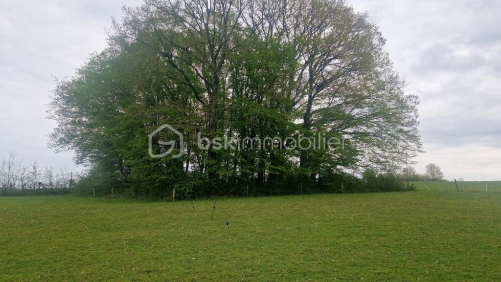 A VENDRE TERRAIN D’EXEPTION AVEC VUE PANORAMIQUE DE 11 574 M² DONT 1726 M² CONSTRUCTIBLE – NR pièces – NR chambres – 11574 m²