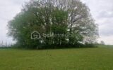 A VENDRE TERRAIN D’EXEPTION AVEC VUE PANORAMIQUE DE 11 574 M² DONT 1726 M² CONSTRUCTIBLE – NR pièces – NR chambres – 11574 m²