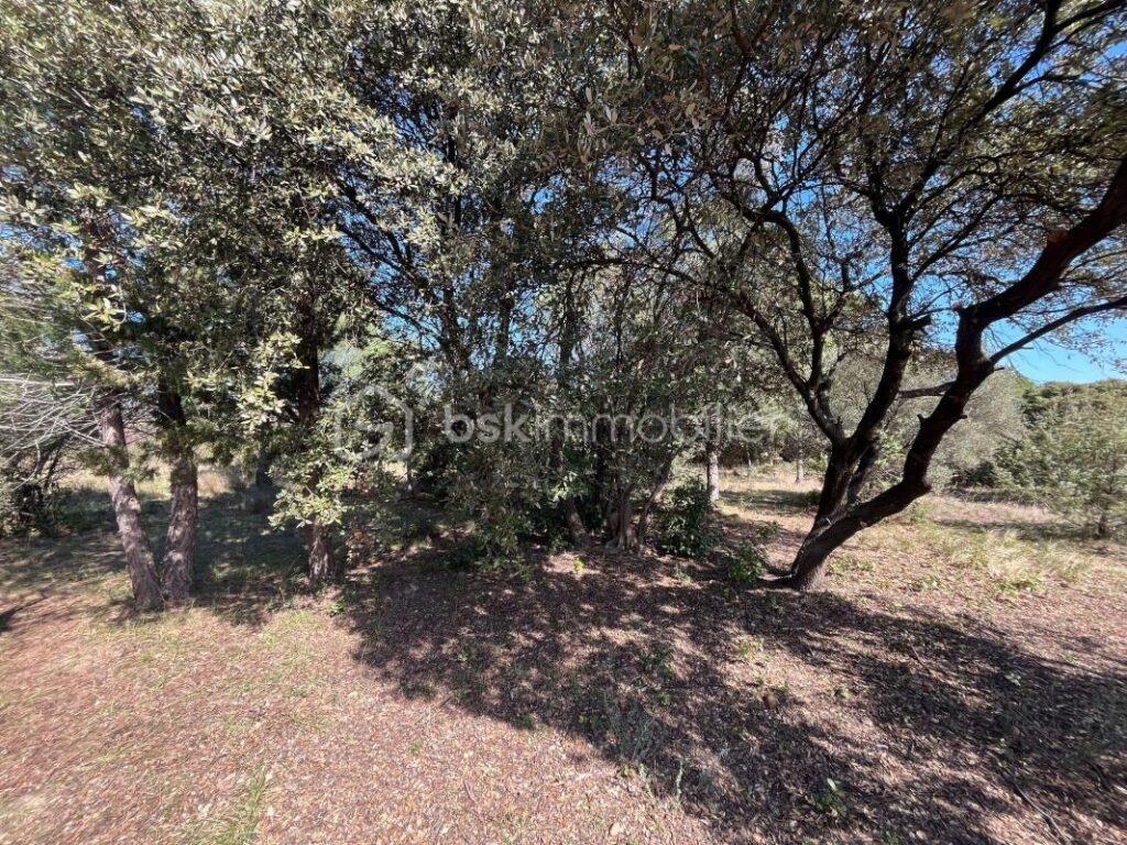 Terrain constructible Vue dominante – NR pièces – NR chambres – 1572 m²
