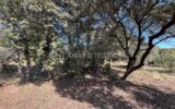 Terrain constructible Vue dominante – NR pièces – NR chambres – 1572 m²