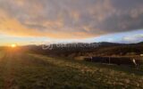 Terrain Constructible Vue Pyrénées – NR pièces – NR chambres – 1831 m²