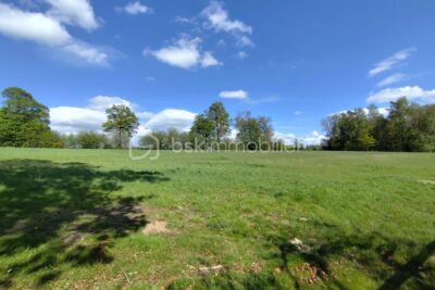 Maison de charme dans le Perche — terrain 9 700 m² – 4 pièces – 2 chambres – 90 m²