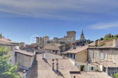 Appartement haut de gamme avec vue sur le Palais des Papes – 6 pièces – 5 chambres – 180 m²
