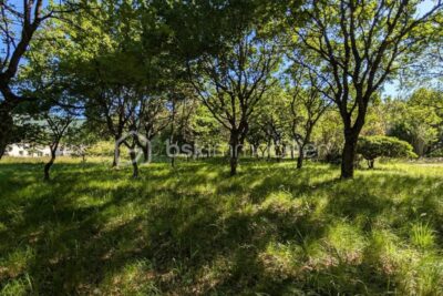 Terrain à vendre à La begude de mazenc