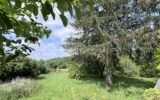 Terrain avec vue sur la campagne – Cadre verdoyant et préservé – NR pièces – NR chambres – 1587 m²