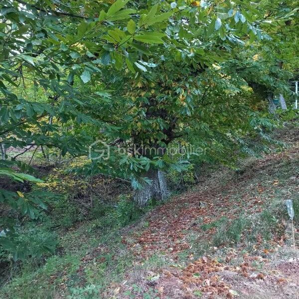 Maison à vendre à Le chambon sur lignon