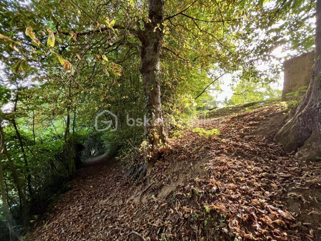 Maison d’exception 300 m² – 11 pièces – 7 chambres – 300 m²