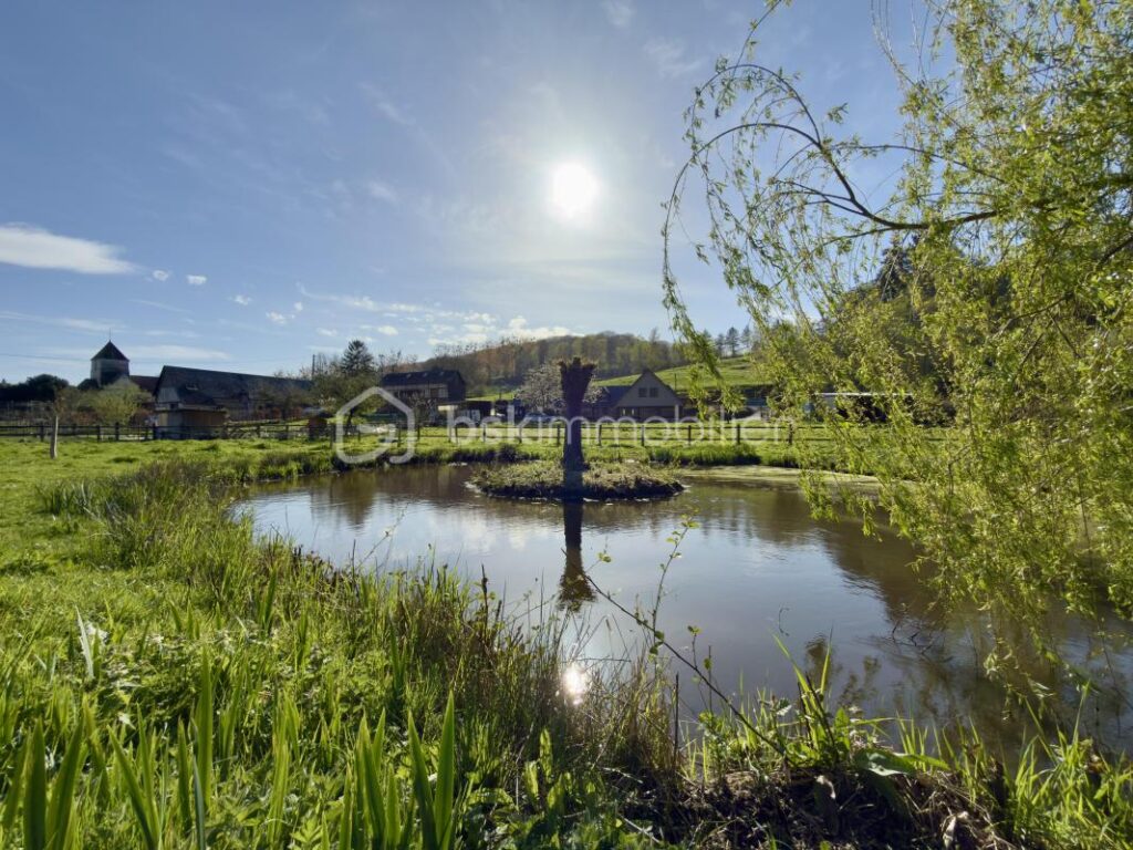 🏡 Maison pleine de charme 160 m² avec terrain exceptionnel de 5 500 m² – Rives-en-Seine – 8 pièces – 5 chambres – 160 m²