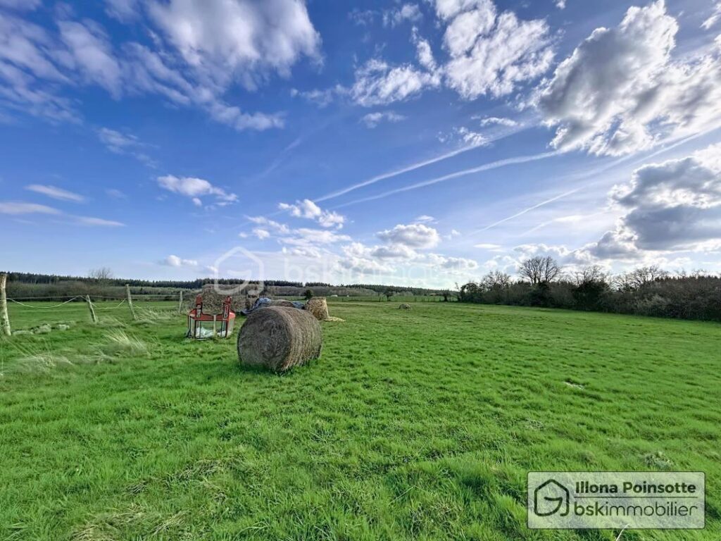 Maison avec dépendances et 1 hectare de terrain – 5 pièces – 4 chambres – 100 m²