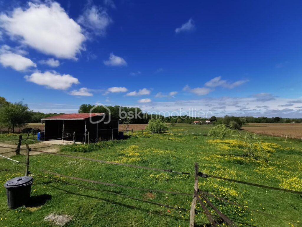Grande maison familliale – propriété équestre – 6 pièces – 4 chambres – 128 m²