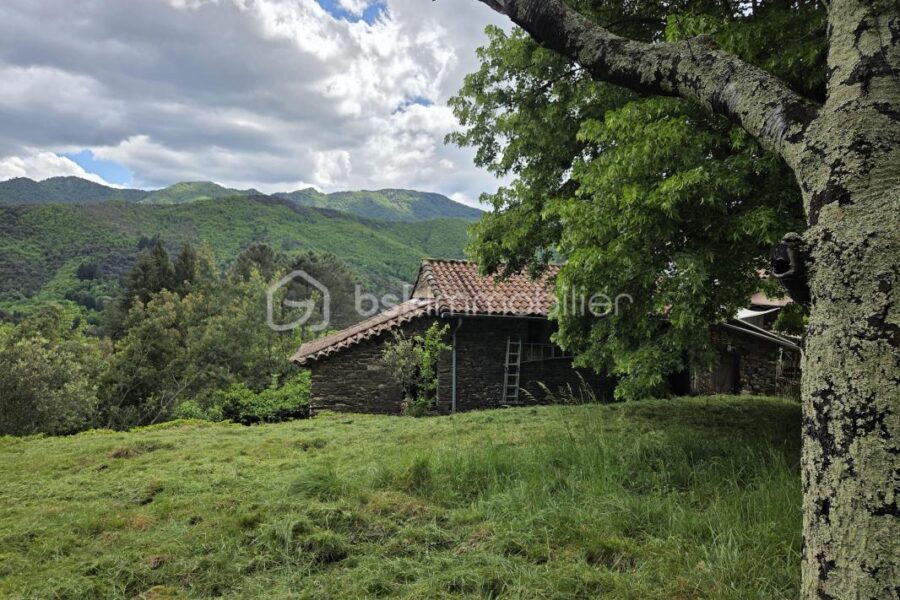 Maison à vendre à Saumane