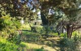DOMAINE DE CHARME – 7 pièces – 6 chambres – 200 m²