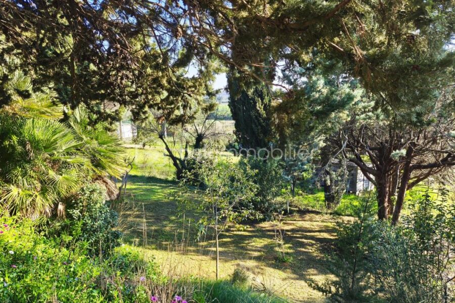 Maison à vendre à Maraussan