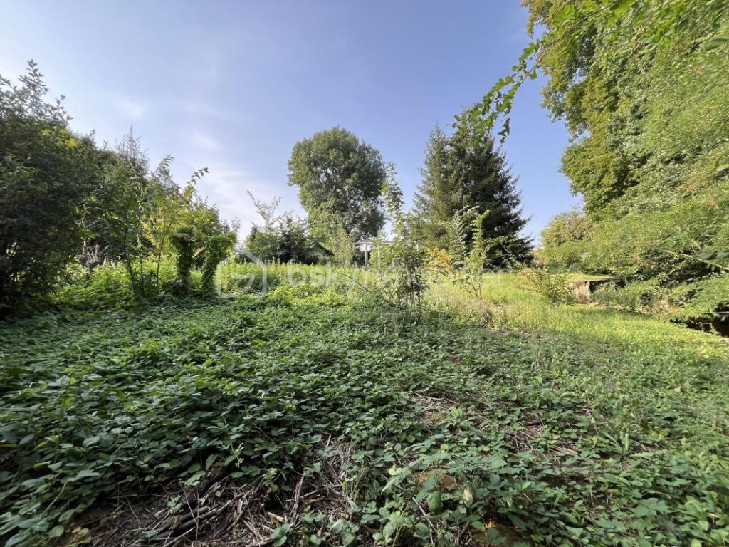 Maison d’architecte de 298 m² dans parc arboré de 7609 m² – 11 pièces – 7 chambres – 298 m²