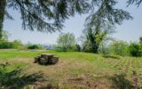 Maison à vendre à Dagneux — Vue nature — photo 8