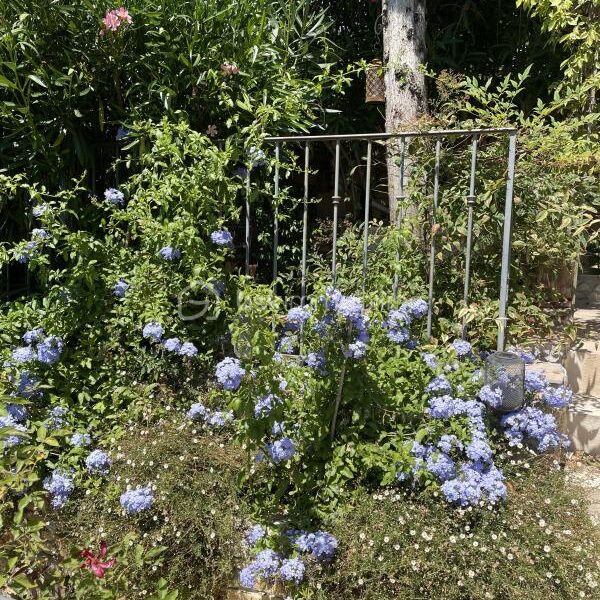 Maison à vendre à Uzes