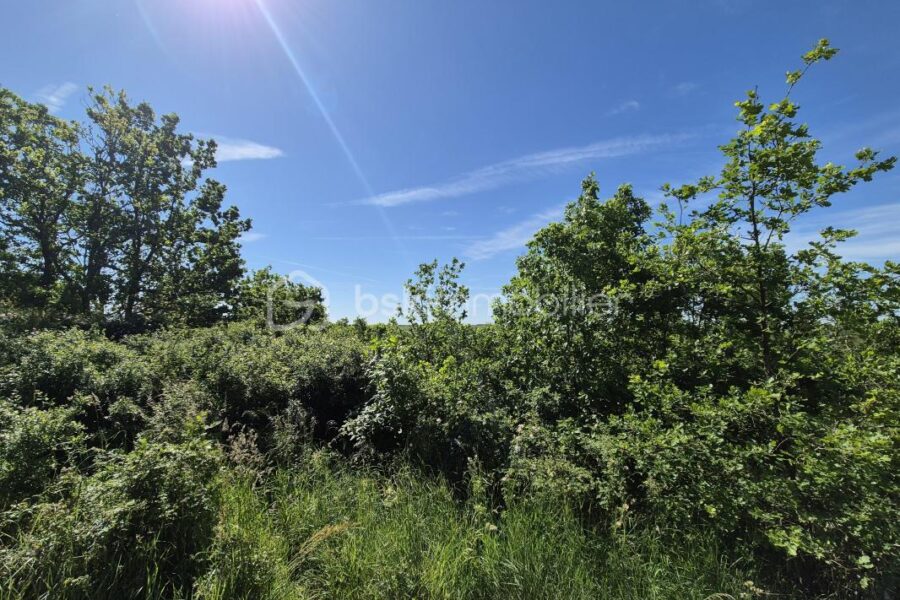 Terrain à vendre à Auvillar