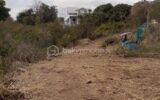 Terrain à vendre à Vieux habitants — Vue nature — photo 4