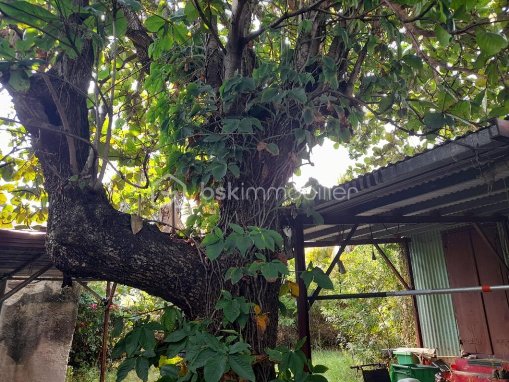Maison créole authentique avec terrain 678 m2 – NR pièces – NR chambres – 678 m²