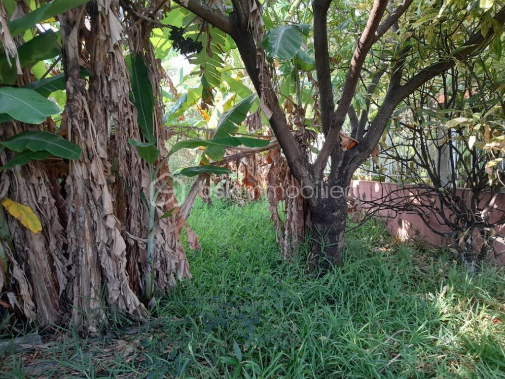 Maison Créole Authentique à Grand Bois – NR pièces – NR chambres – 678 m²