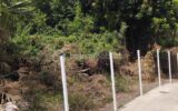 Terrain à vendre à Entre deux — Vue nature — photo 3