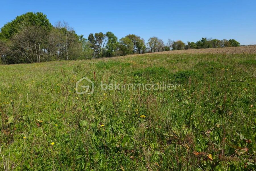 Terrain à vendre à Leren