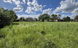 Terrain à vendre à Ribaute les tavernes