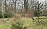 Terrain à vendre à La ferte sous jouarre