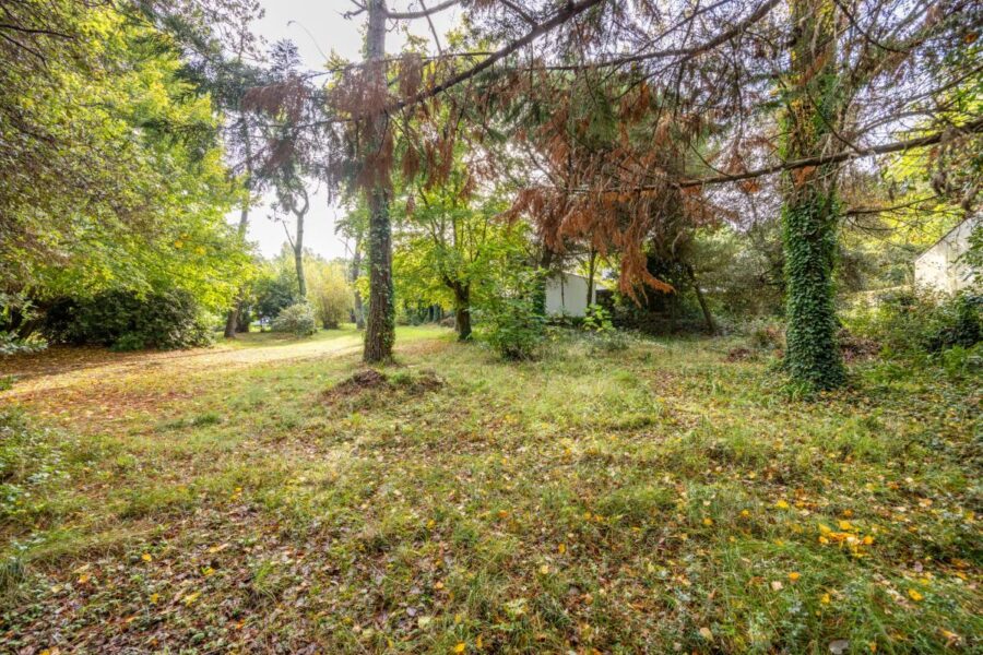 Terrain à vendre à La gueriniere