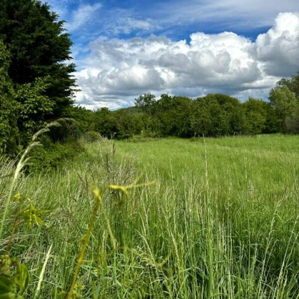 Terrain à vendre à Moncel sur seille