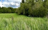 Terrain à vendre à Moncel sur seille