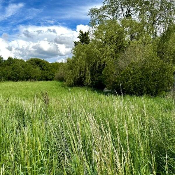 Terrain à vendre à Moncel sur seille