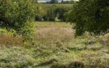 Terrain à vendre à Moncel sur seille