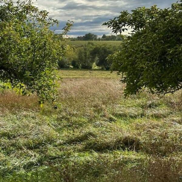 Terrain à vendre à Moncel sur seille