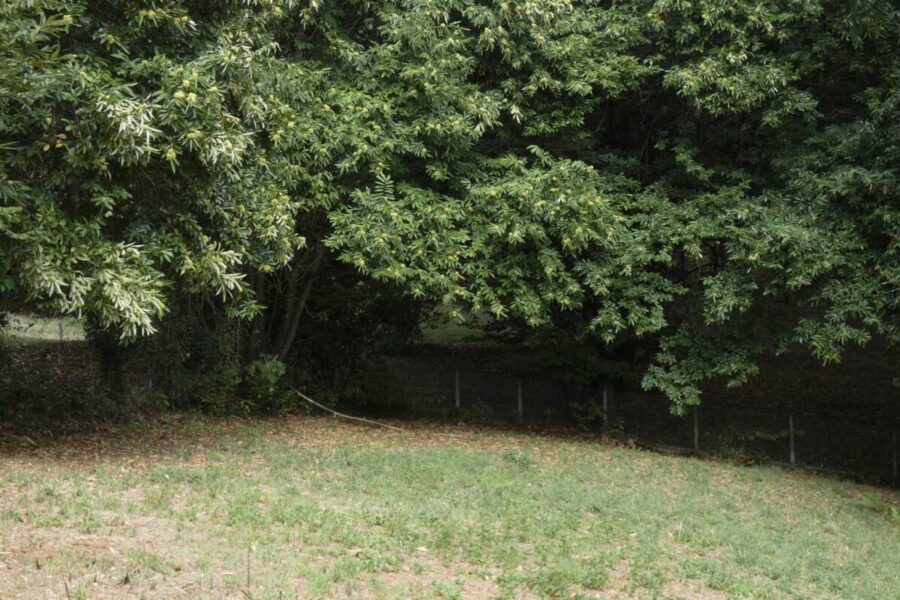 Terrain à vendre à Brive la gaillarde