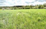 Terrain à vendre à Maixe